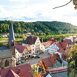 Stadt Wehlen, Markt
